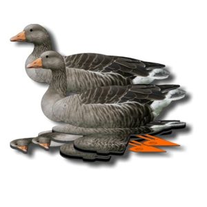 FUD Lokker Grauwe gans