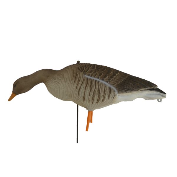 Grauwe Gans Full Body Ganzenlokker - Afbeelding 3