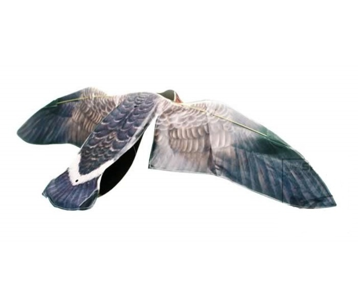 Sillosocks Pigeon Duif Hypaflap - Afbeelding 3