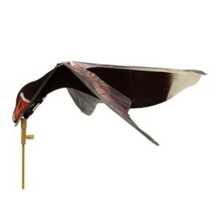 Sillosocks Pink Foot Grey Lag Goose Hypaflaps Grauwe Gans / Greylag Instrijkend | Landend