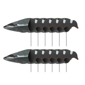 Sillosocks Pigeon Duif Harvester 12-Pack