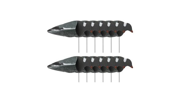 Sillosocks Pigeon Duif Harvester 12-Pack