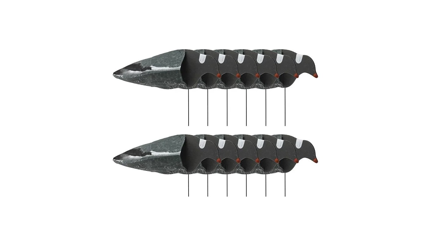 Sillosocks Pigeon Duif Harvester 12-Pack