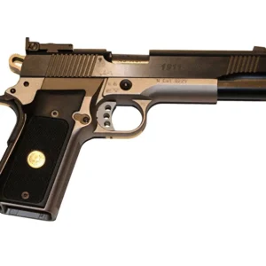 AKAH 1911 Target